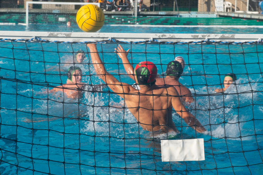AWHS sophomore, and boys varsity goalie, Haakon Lacy, leaps out of the water to stop a shot from the opposing team.