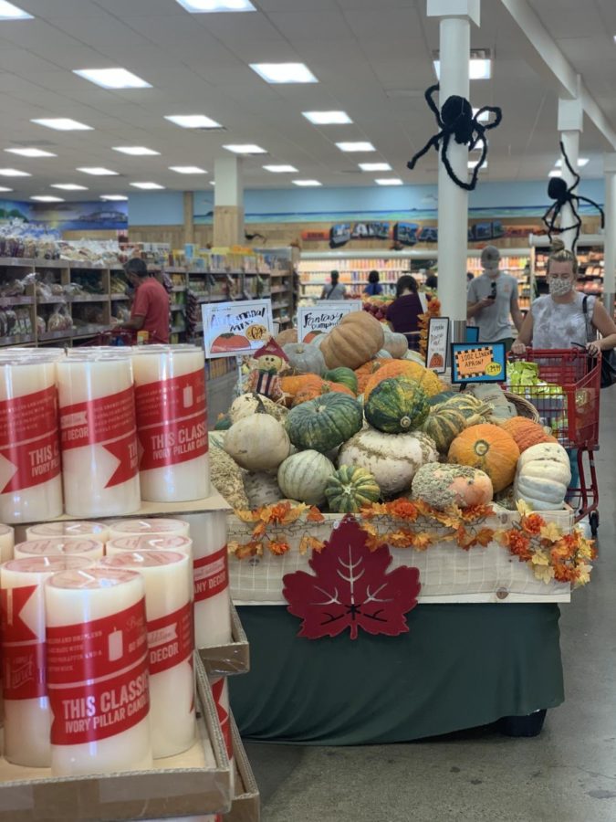 Festive decorations, including a small pumpkin patch, on display at the Trader Joes in Greenbrae.