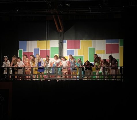 White Hill’s production of Bye Bye Birdie: an amusing blast from the 1950’s past