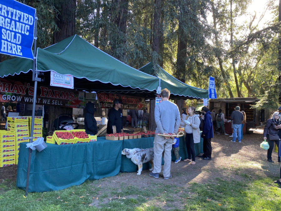 Produce stands at the farmer’s market offer fresh fruit and vegetables complete with delicious samples.