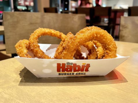 The onion rings were near perfect but would have been improved with a side sauce
