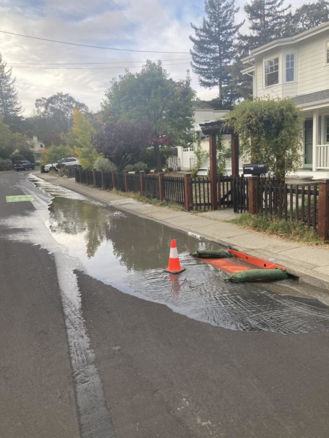 Water from a main water break on Brookside Dr. and Roble Crt. trickles into a nearby gutter.