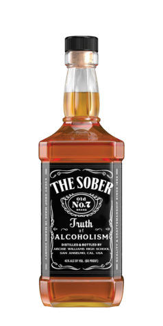 The Sober Truth of Alcoholism
