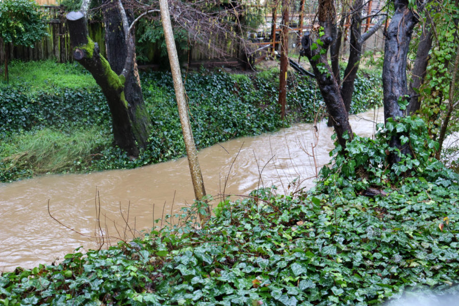 The San Anselmo Creek flows next to the Archie Williams campus. 