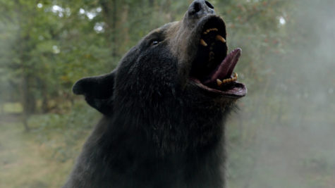 The “cocaine bear” in Cocaine Bear gets ahold of even more cocaine, and continues its rampage in a Georgia forest. 