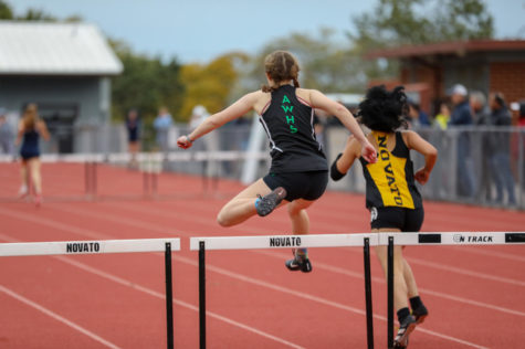 Senior Erin Bregenzer soars during the girls Varsity 300m hurdles against Novato and Marin Catholic on Thursday.