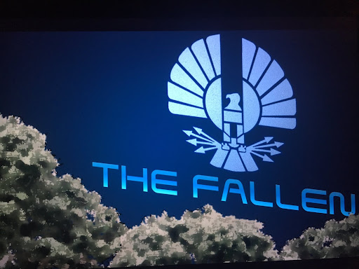 ‘The Fallen’ projection in The Hunger Games is used to depict the fallen Falcons playing Assassin. 
