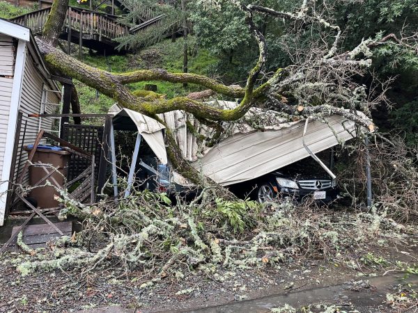 A downed tree hit a carport in Fairfax, damaging the nearby garage and car underneath. 