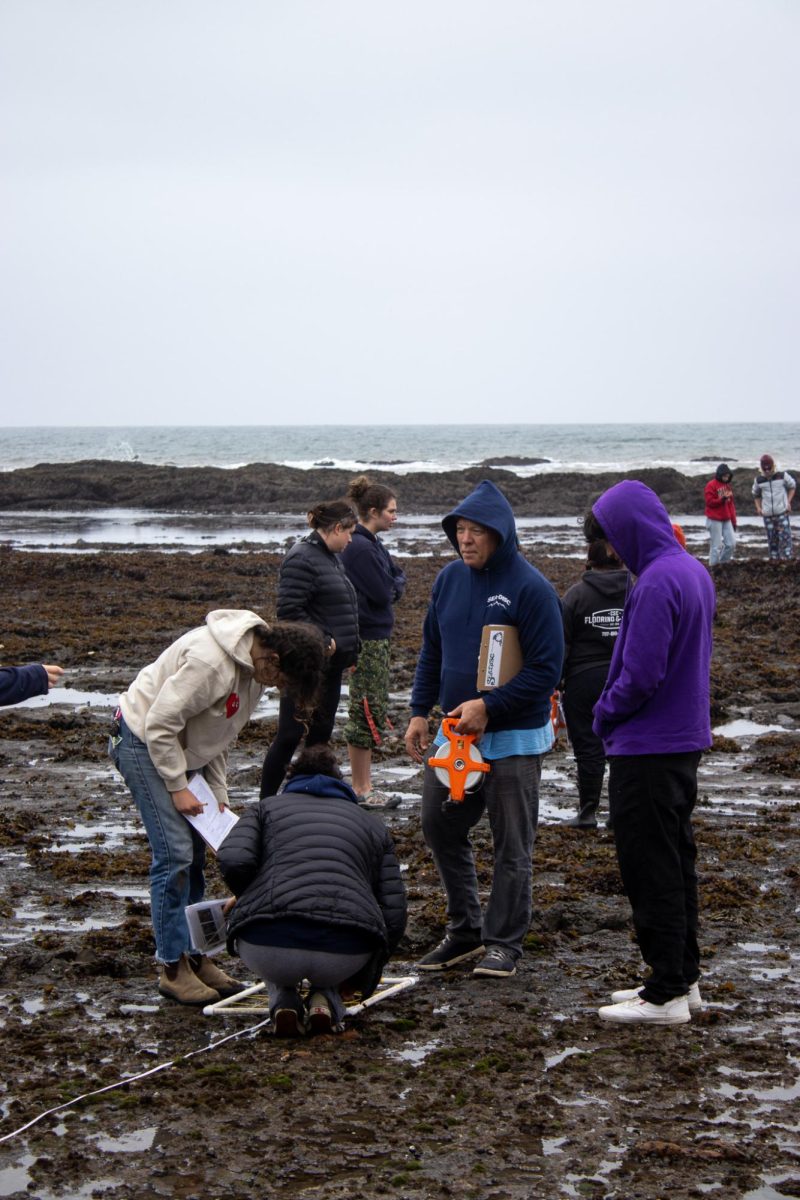SEA-DISC students work on their marine biology project at the reef off of Bolinas.