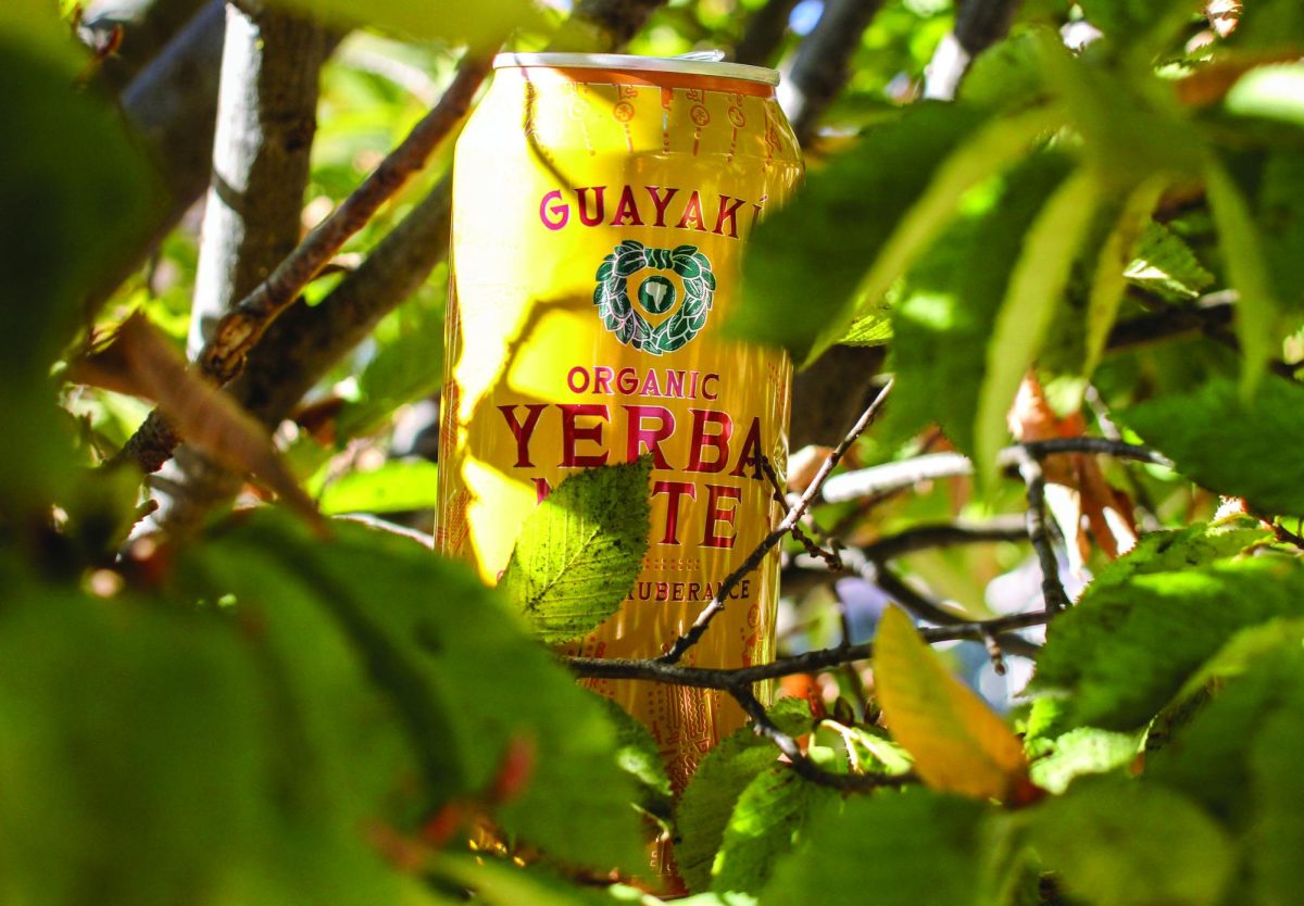 Yerba Mate is one of the most popular caffeinated beverages among teens.