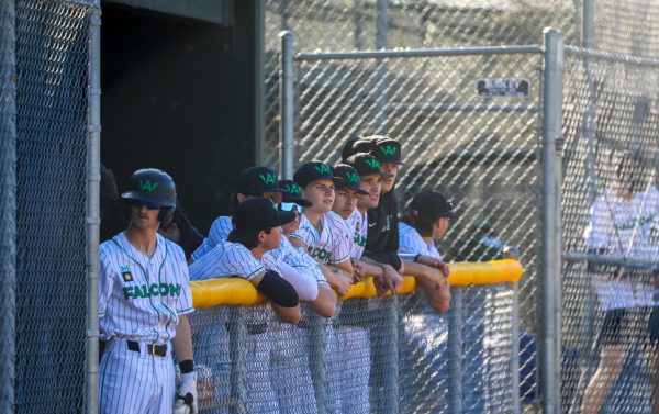 Archie Williams varsity baseball players watch their team in the outfield from the dugout.
