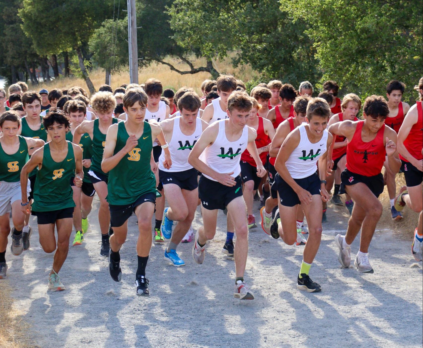 Senior Ian Sharp leads the Archie Williams pack at the starting line.