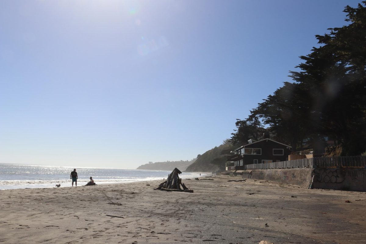 A view of Bolinas beach now features a lack of beach goers.