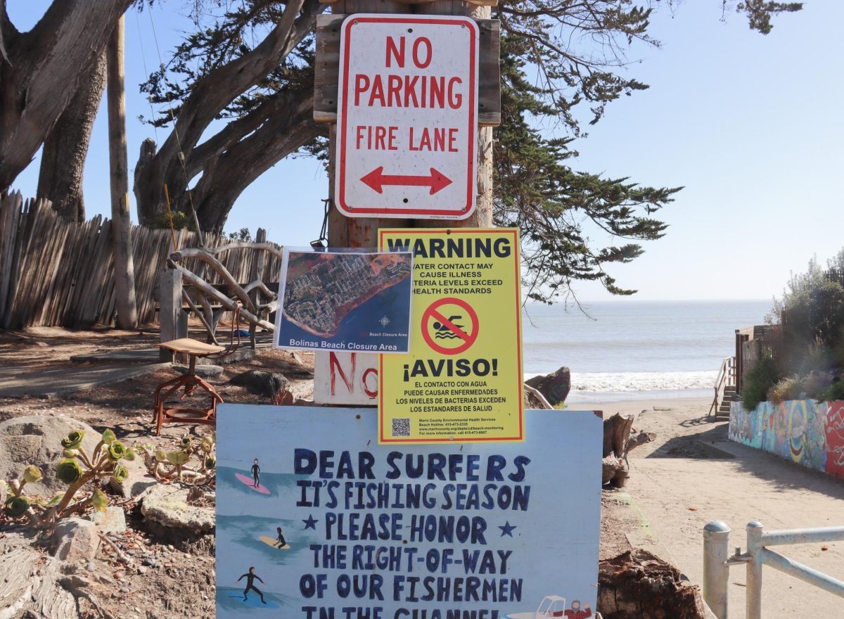 Beloved Bolinas Beach closes due to health concerns