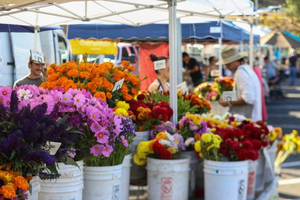 Radiant and colorful floral bouquets displayed in white buckets, sold by Cypress Flower Farm. 