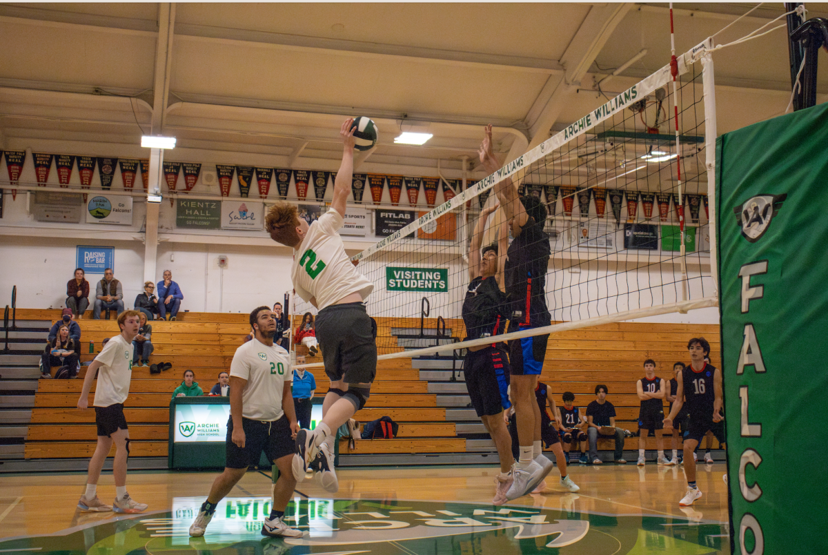 Archie Williams junior Max Brasler spikes ball over the net.