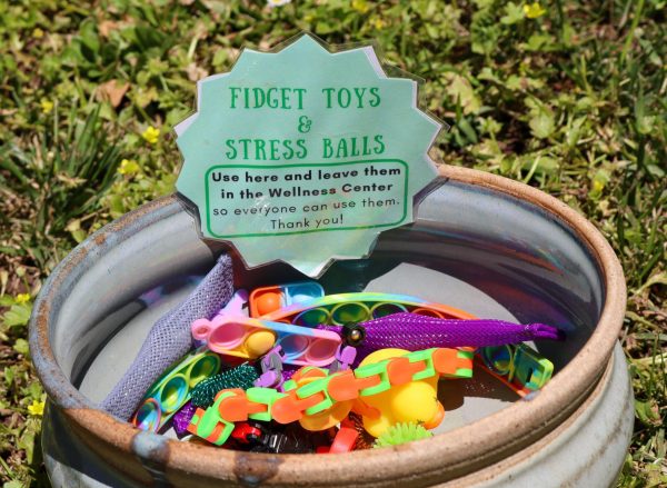 Fidgets can be found in the Wellness Center at Archie Williams.
